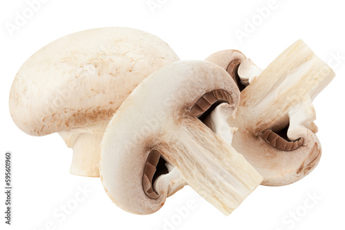 champignon, mushroom, isolated on white background, full depth of field
