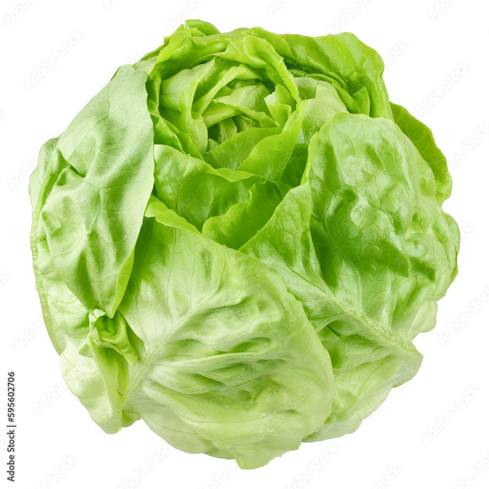 salad, lettuce, isolated on white background, full depth of field salad, lettuce, isolated on white background, full depth of field