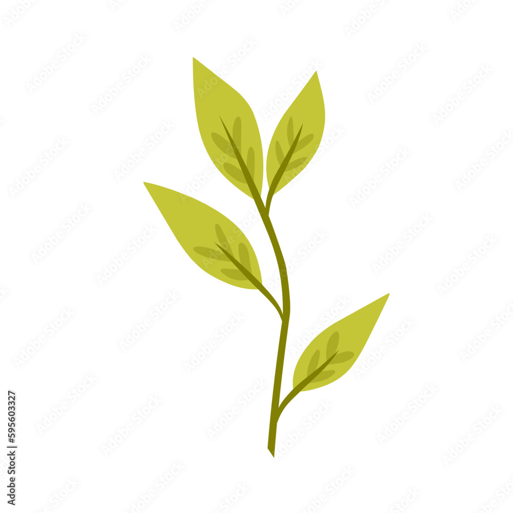 Obraz premium Botanical plant.decorative organic leaves.leaf illustration