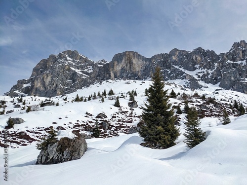 beautiful winter landscape in the swiss alps. Snowy mountains and rocks with single trees. High quality photo
