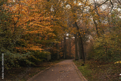 Parc de la Vallée aux Loups