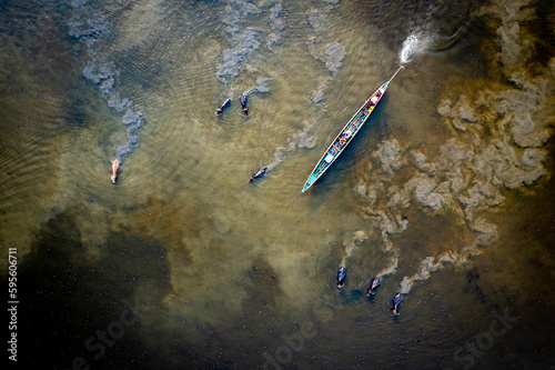 Aerial view of domestic water buffaloes in wetland, Located in Thale Noi, Phatthalung province, Thailand.