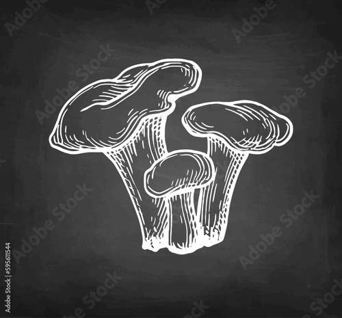 Chanterelles mushroom chalk sketch.