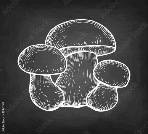 Penny bun mushroom and half chalk sketch..