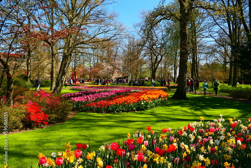 Tulpenblüte in Keukenhof, Holland (2)