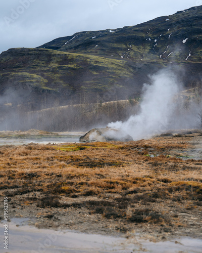 Majestic geysers erupting, sending plumes of steam and hot water high into the air. Geyser Park in Iceland is a geothermal wonderland