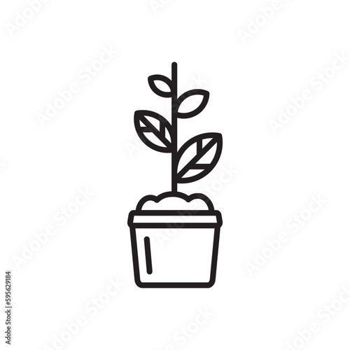 Plant vector linear icon. Houseplant flat sign design. Seedling nature plant symbol isolated pictogram. Plant UX UI icon symbol outline sign 
