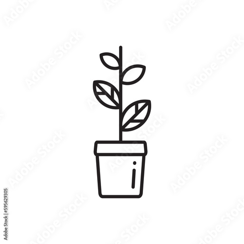 Plant vector linear icon. Houseplant flat sign design. Seedling nature plant symbol isolated pictogram. Plant UX UI icon symbol outline sign 