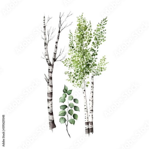 Watercolor birch trees Russia tree Design element for wallpapers, web site background Vector illustration.