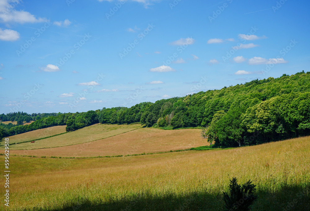 Views over farm fields and woodland