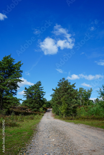 Single track gravel road in the middle of the countryside