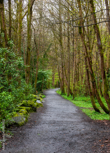  Hiking nature trail at Clare Glens Forest Park