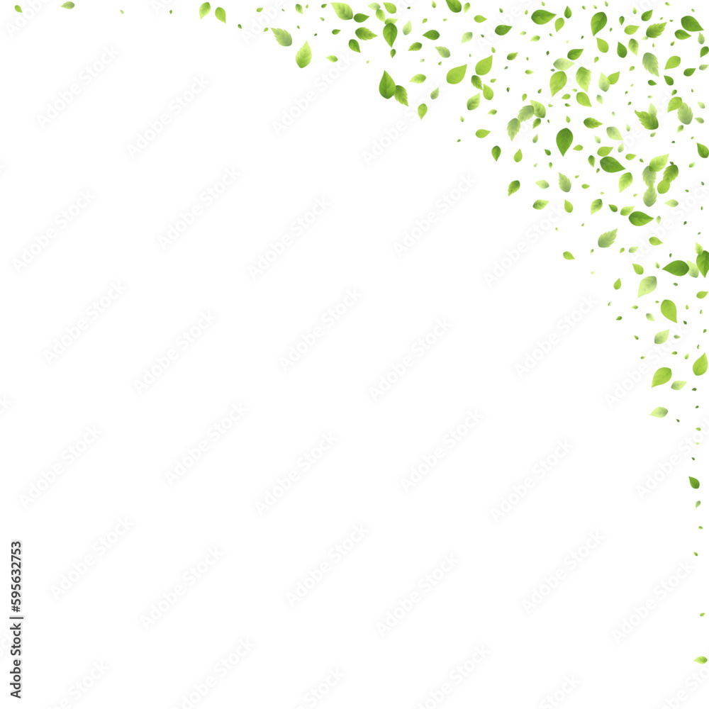 Leaves Green Falling Flying Foliage Leaf Tea Mint Leaves Green Falling Flying Foliage Leaf Tea Mint
