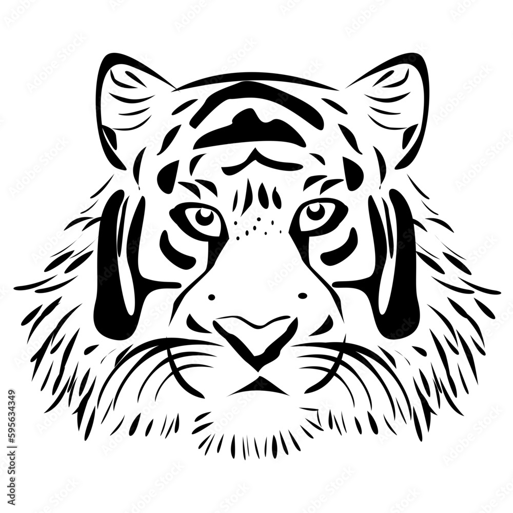 white tiger head white tiger head