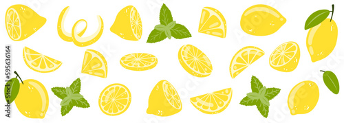 Set of hand drawn whole, half, sliced lemon. vector illustration of fresh tasty citrus fruits and mint for icon, logo, web design, packaging, card, print