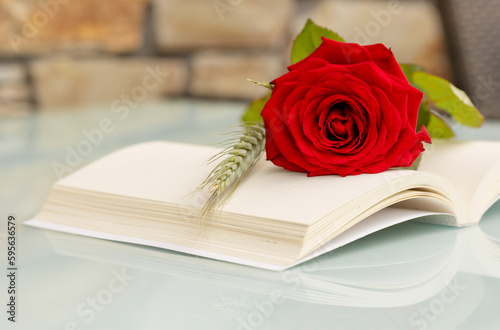 a rose on a book, celebration of Saint George's Day in Spain, party on April 23