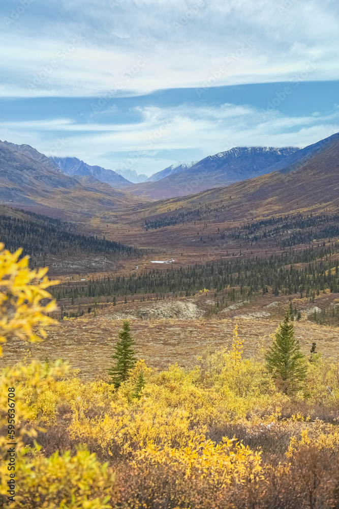 Canada, Yukon, view of the tundra in autumn
