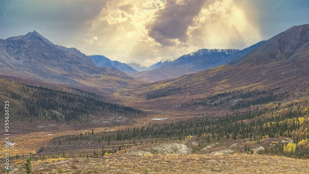 Fototapeta premium Canada, Yukon, view of the tundra in autumn
