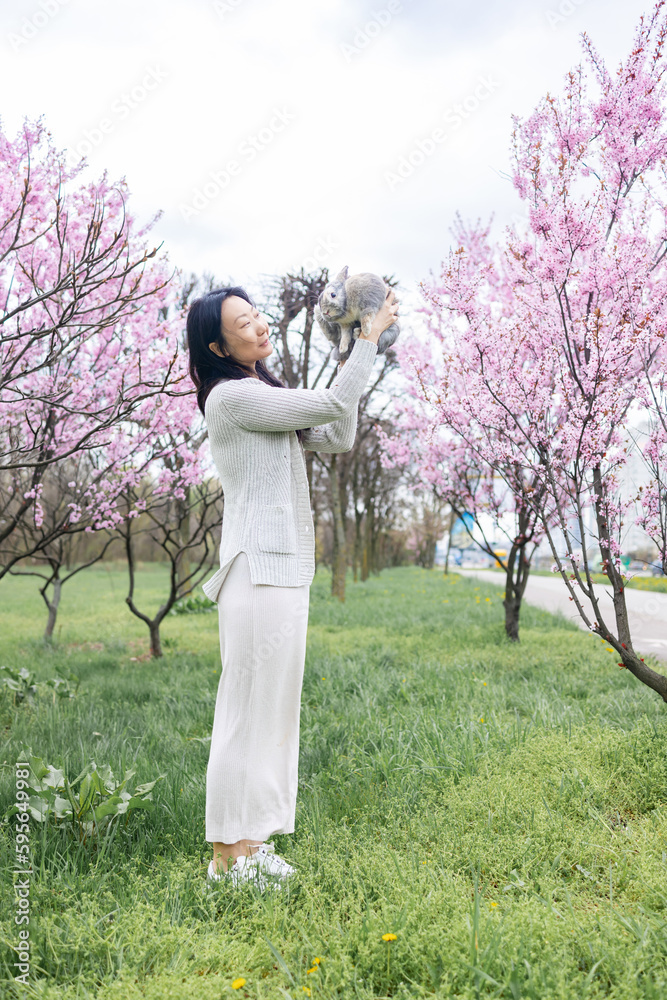 beautiful young asian woman holding cute bunny in blooming cherry blossoms garden.
