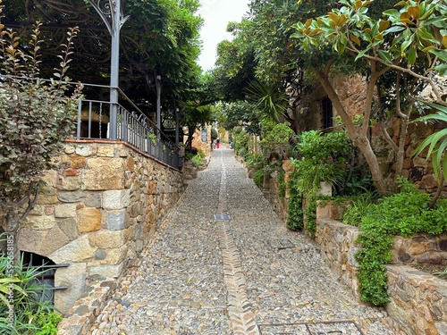 narrow old street with natural stone houses and and many plants and tendrils in the old town of Tossa de Mar  Via Vella  Costa Brava  Girona  Spain