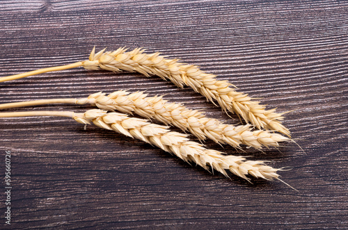 spikelets of wheat