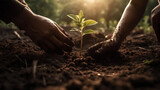 Hands planting sprouting seedlings. Tree planting, greening. Generative AI.
