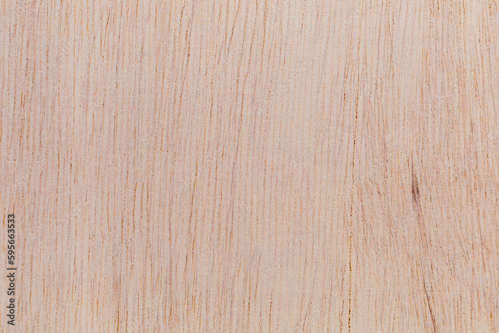 Naklejka premium Light rough textured cut surface of an African tree. Wood background or blank for design