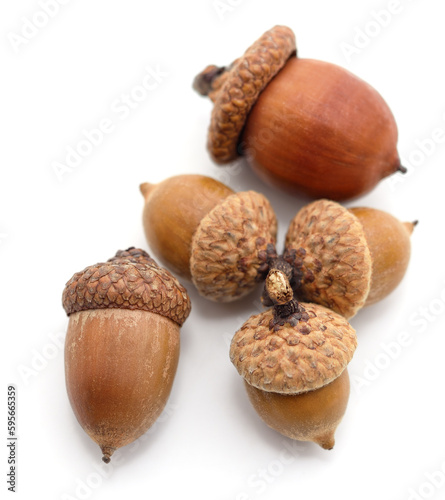 Five brown acorns.