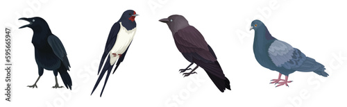 Feathered Birds or Avian with Wings Vector Set © Happypictures