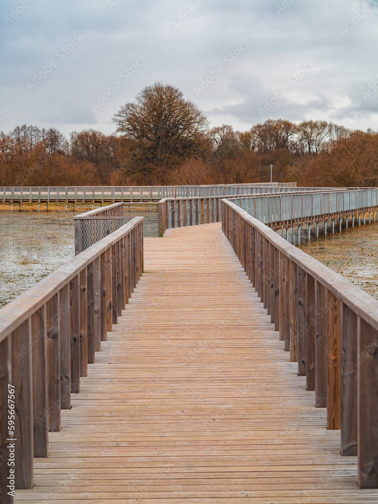 spring in nature, walking path above the water in Latvia. wooden bridge with metal mesh