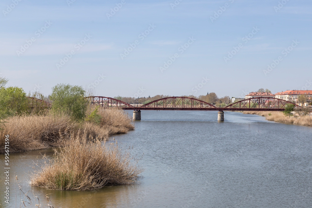 Fototapeta premium Iron bridge over the Tagus river as it passes through Talavera de la Reina, Toledo, Spain
