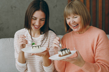 Two cheerful happy adult women mature mom young kid wearing casual clothes eat sweet yummy cake sit on gray sofa couch stay at home flat rest relax spend free spare time in living room Family concept