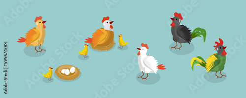 3D Isometric Flat Vector Set of Chickens  Cute Farm Animals