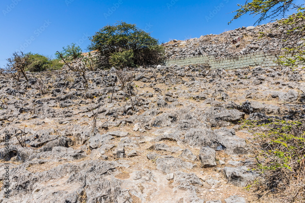 Park near the Tawi Atair Sinkhole Oman, the most famous sinkhole in the Dhofar (Dofar