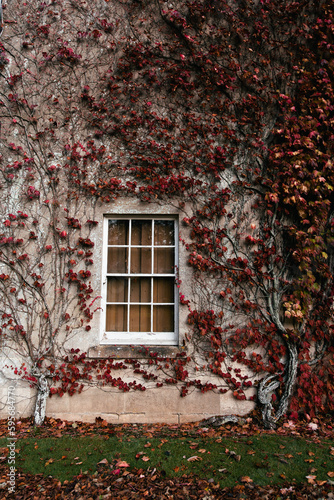 English Home in Autumn © Maggie