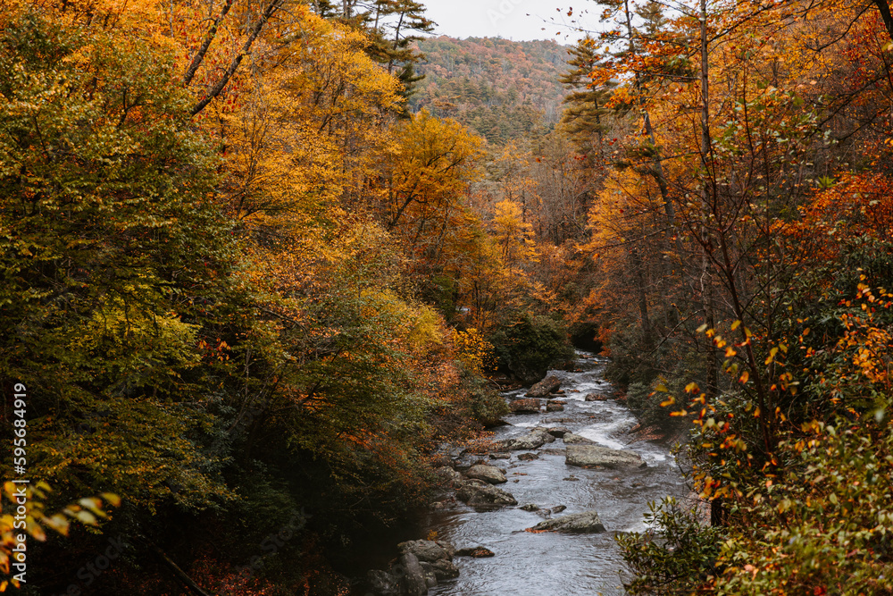 Mountain River in Autumn