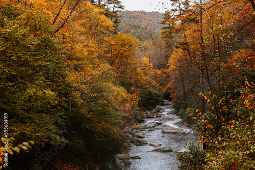 Mountain River in Autumn