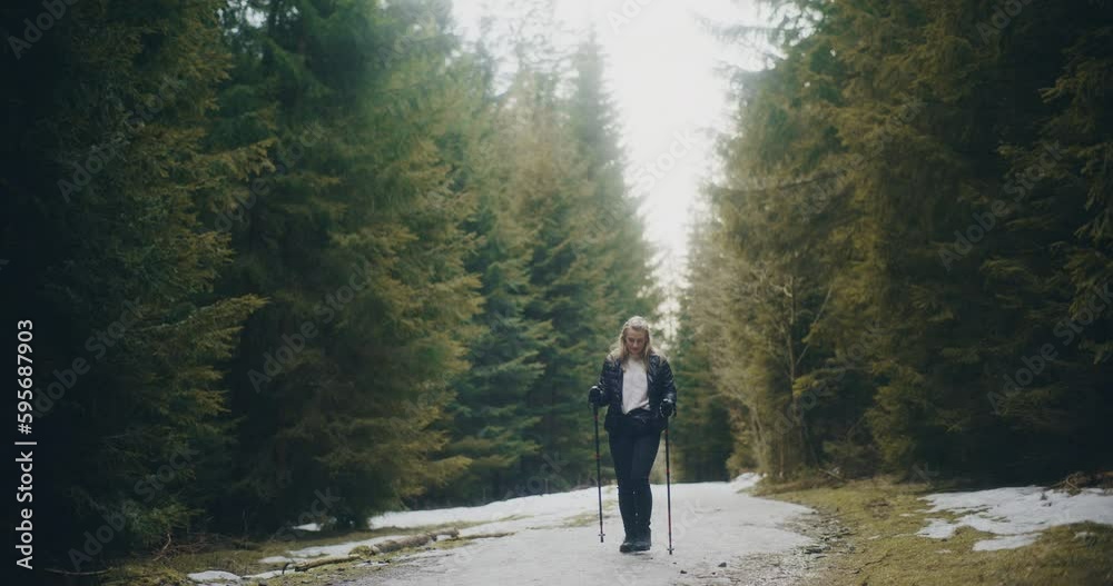 Portrait of Hiker In Mountains Walking in Forest Portrait of Hiker In Mountains Walking in Forest