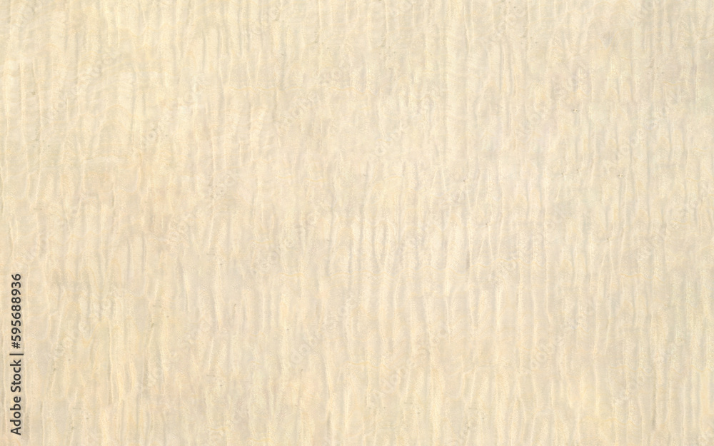 Rippled sycamore veneer bleached high resolution Rippled sycamore veneer bleached high resolution