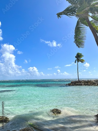 paradise landscape of a lagoon in the French West Indies 