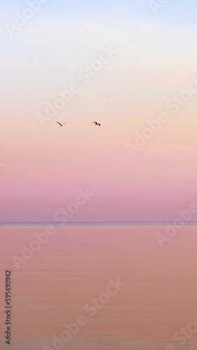 Vertical video of a beautiful sky and two birds fly over sea