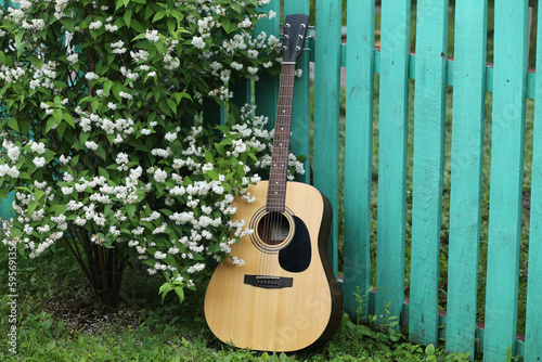 A classical acoustic guitar near a green country fence and a blooming jasmine bush.