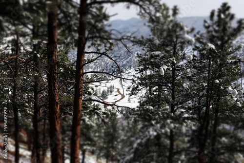 Winter forest in the mountains where beautiful scenes of snowy nature bring up emotions of gratitude and peace