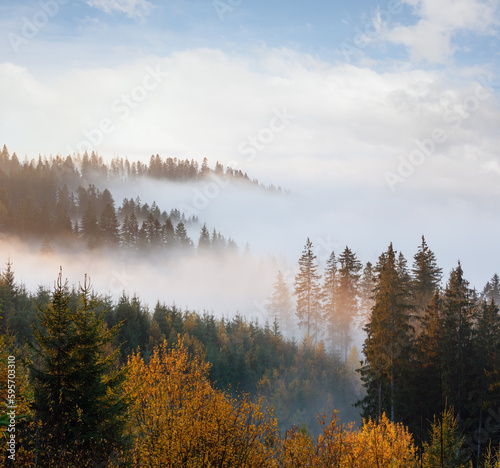 Morning fog on the slopes of the Carpathian Mountains (Ivano-Frankivsk oblast, Ukraine).