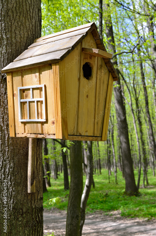 Birdhouse on a high tree in the forest Birdhouse on a high tree in the forest