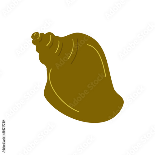 Elements of botany underwater marine plants, flora. Shells. Design of a summer banner, poster. Isolated vector flat illustration.