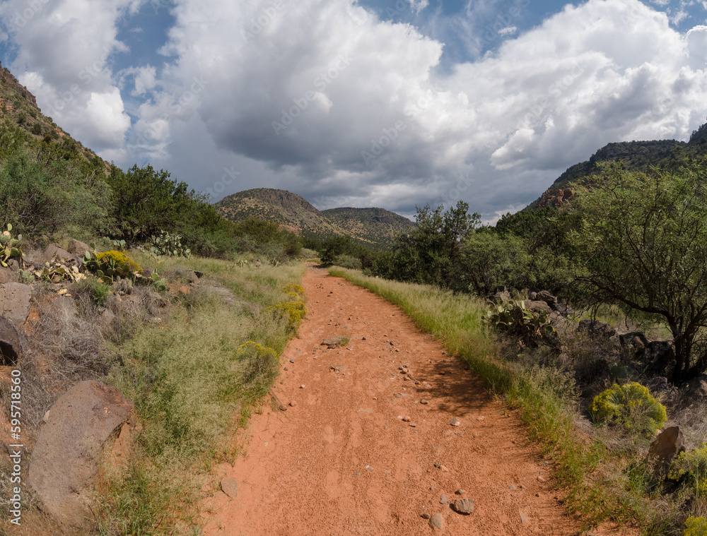 Dirt Hiking Path Surrounded by Vegetation with Mountains and Clouds in the Distance