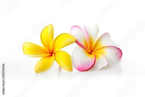 Tropical beautiful flowers, frangipani plumeria flower isolated on white background. Created with Generative AI Technology