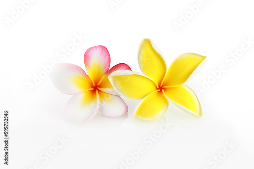 Tropical beautiful flowers, frangipani plumeria flower isolated on white background. Created with Generative AI Technology