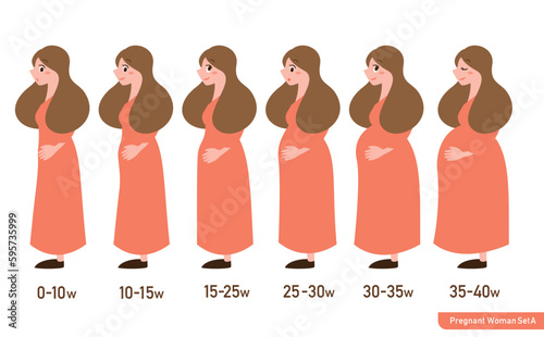 シンプルで可愛い週数別妊婦さんの身体の変化のイラストセット